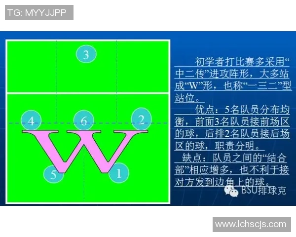 上海排球队中路突破的优劣分析与战术调整探讨