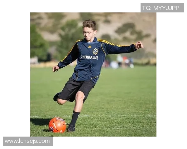 木头与足球的奇妙结合探索运动与自然的和谐之美